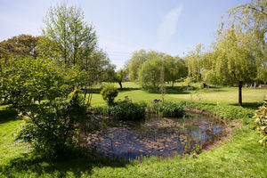 Photo 13- click for photo gallery